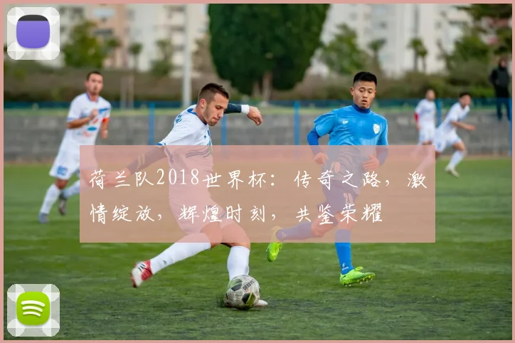 荷兰队2018世界杯：传奇之路，激情绽放，辉煌时刻，共鉴荣耀