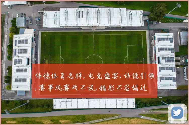 伟德体育怎样,电竞盛宴,伟德引领,赛事观赛两不误,精彩不容错过