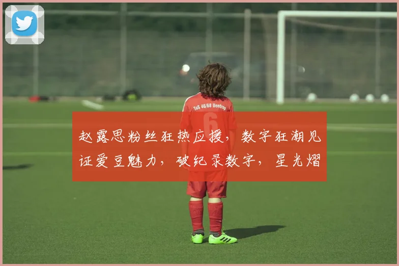 赵露思粉丝狂热应援，数字狂潮见证爱豆魅力，破纪录数字，星光熠熠，人气飙升