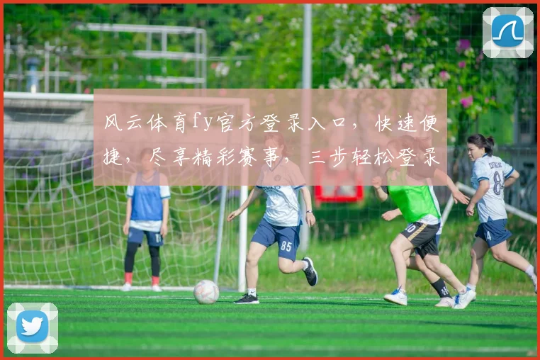 风云体育fy官方登录入口，快速便捷，尽享精彩赛事，三步轻松登录，体验非凡